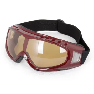 Ski Goggles