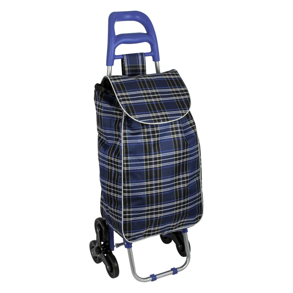Shopping Bag On Wheels WZ375BC Tricycle Trolley Bag For Shopping Or Beach