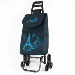 Shopping Bag On Wheels WZ379BC Tricycle Trolley Bag For Shopping Or Beach