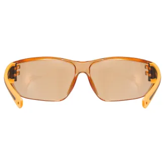 Sunglasses Uvex Sportstyle 204 S53.0.525.3112 - 5