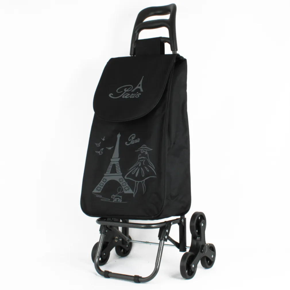 Shopping Bag On Wheels WZ378BC Tricycle Trolley Bag For Shopping Or Beach